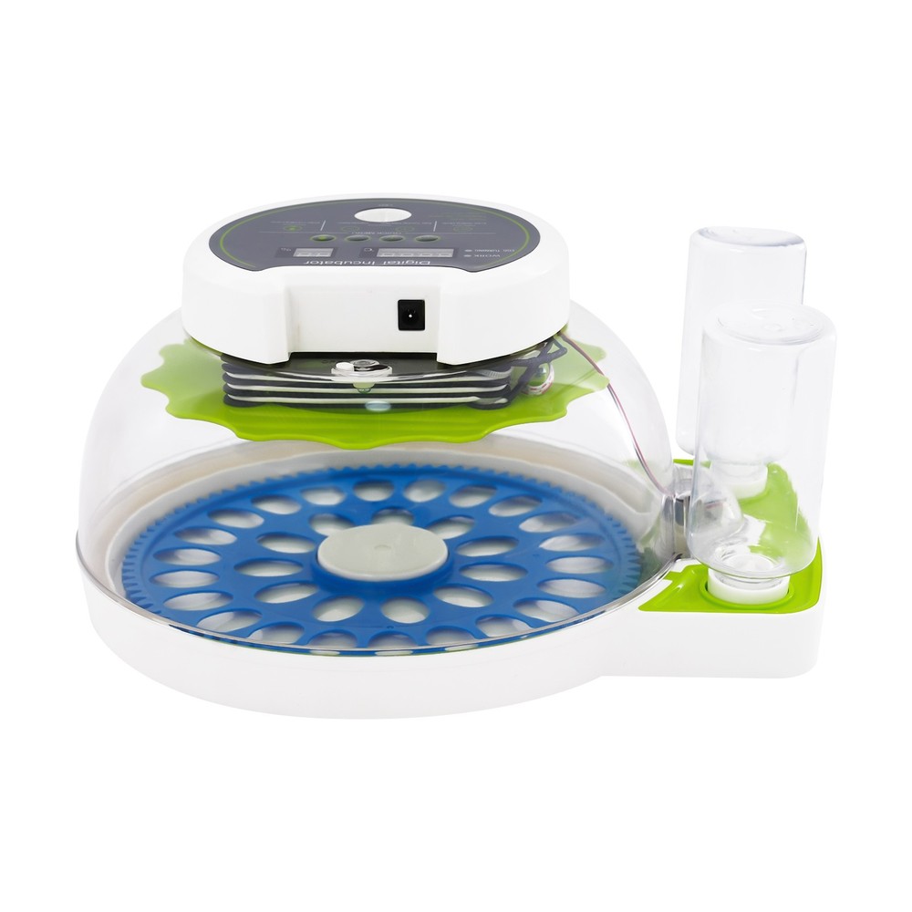 33 Eggs Quail Egg Incubator Modern Small Quail Brooder Poultry Quail Incubator