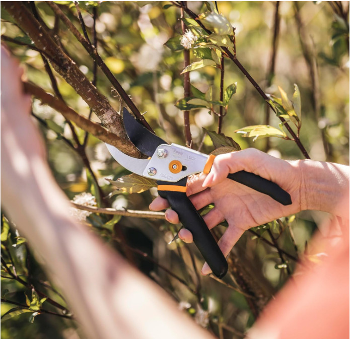 Fiskars Bypass Pruning Shears – 5/8” Cut Capacity, Sharp Rust-Resistant Blade