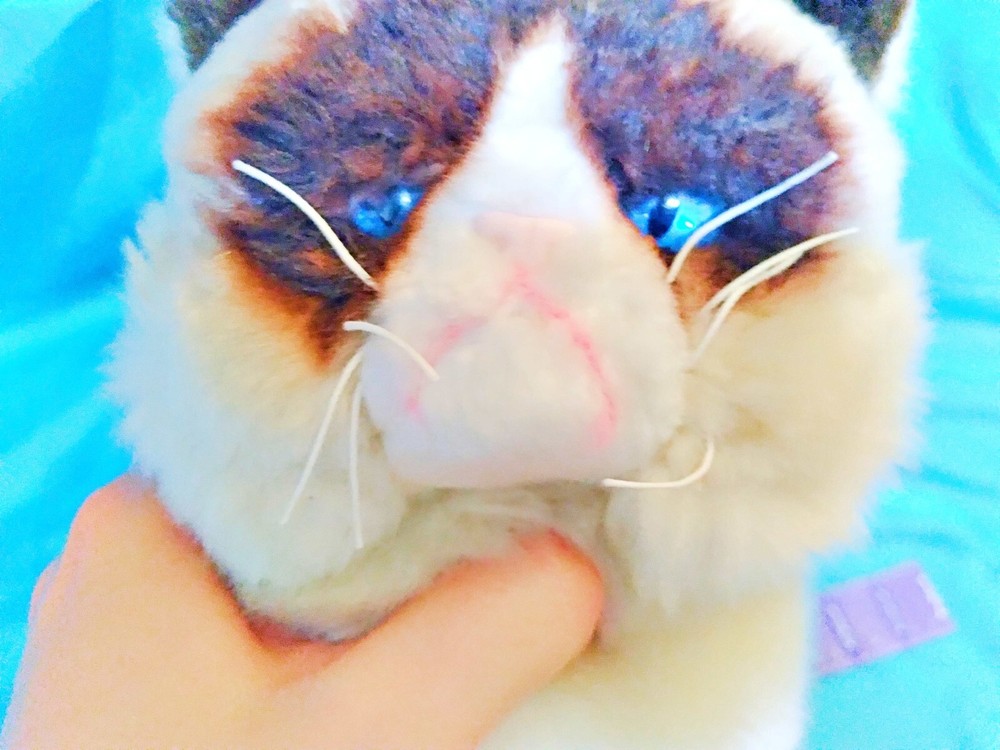 GRUMPY CAT - Collectible Gund Siamese Plush Toy