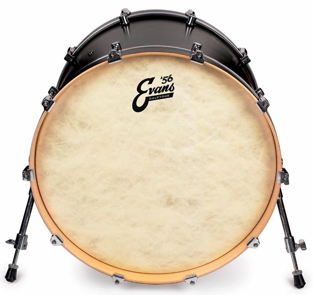 Evans Calftone Bass Drum Head 16 in.