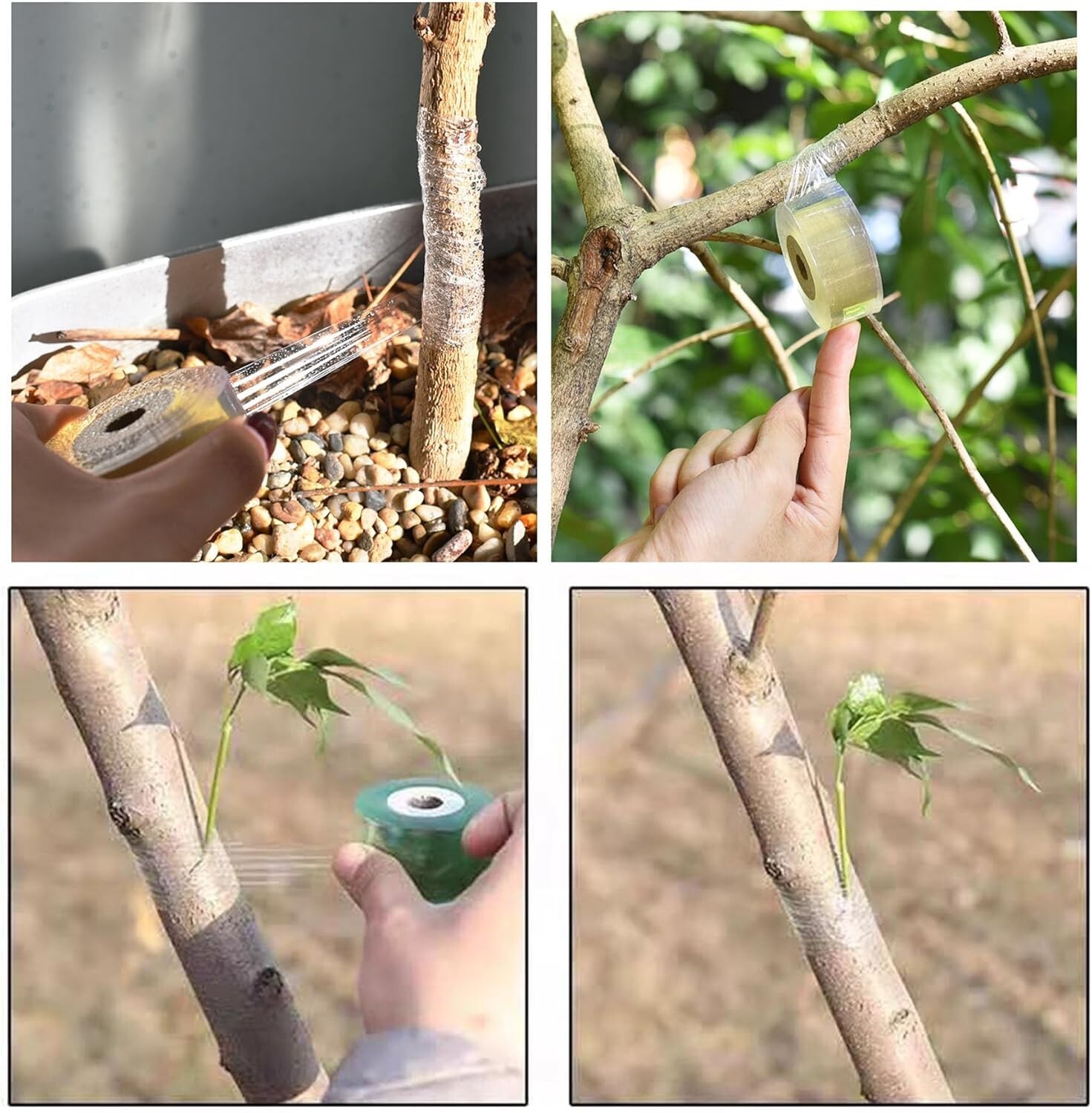 3 Rolls Grafting Tape Stretchable Garden Plants Repair Tape for Fruits Tree
