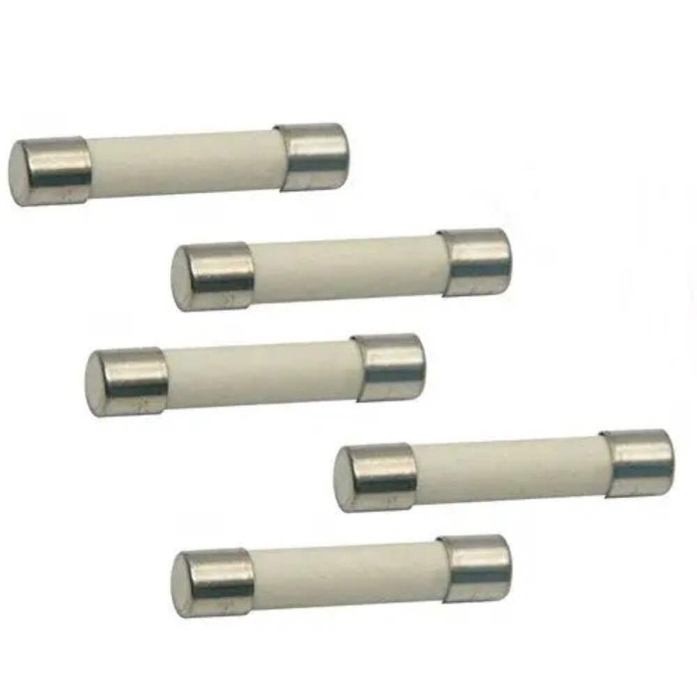 (5 Pack) EXP20A 20A Line Fuse (Slow Blow)