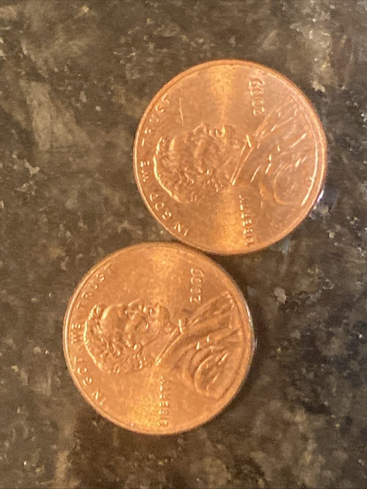 2009 Lincoln sitting on a log Penny No Mint Mark Errors