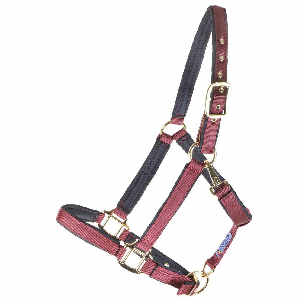 Dura-Tech® Deluxe Fully Padded Nylon Breakaway Halter