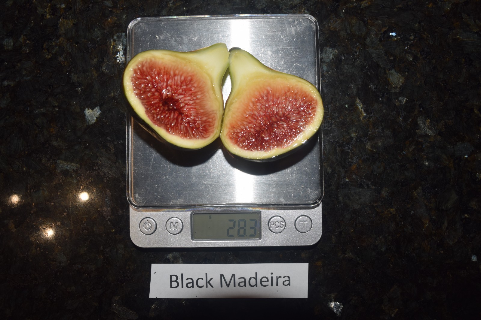 Fig Tree Cuttings. TWO FREE GIFTS. Choose Your Varieties. 50+ varieties!