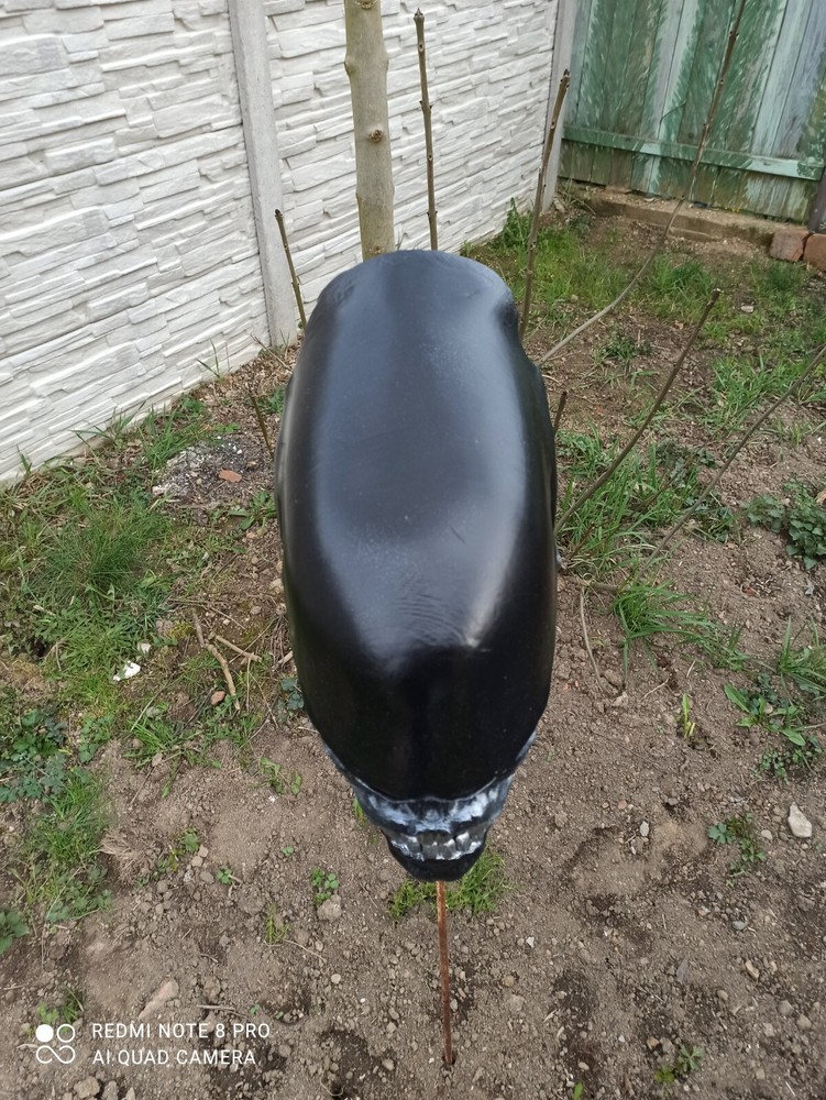 Alien / Xenomorph Romulus bust - head