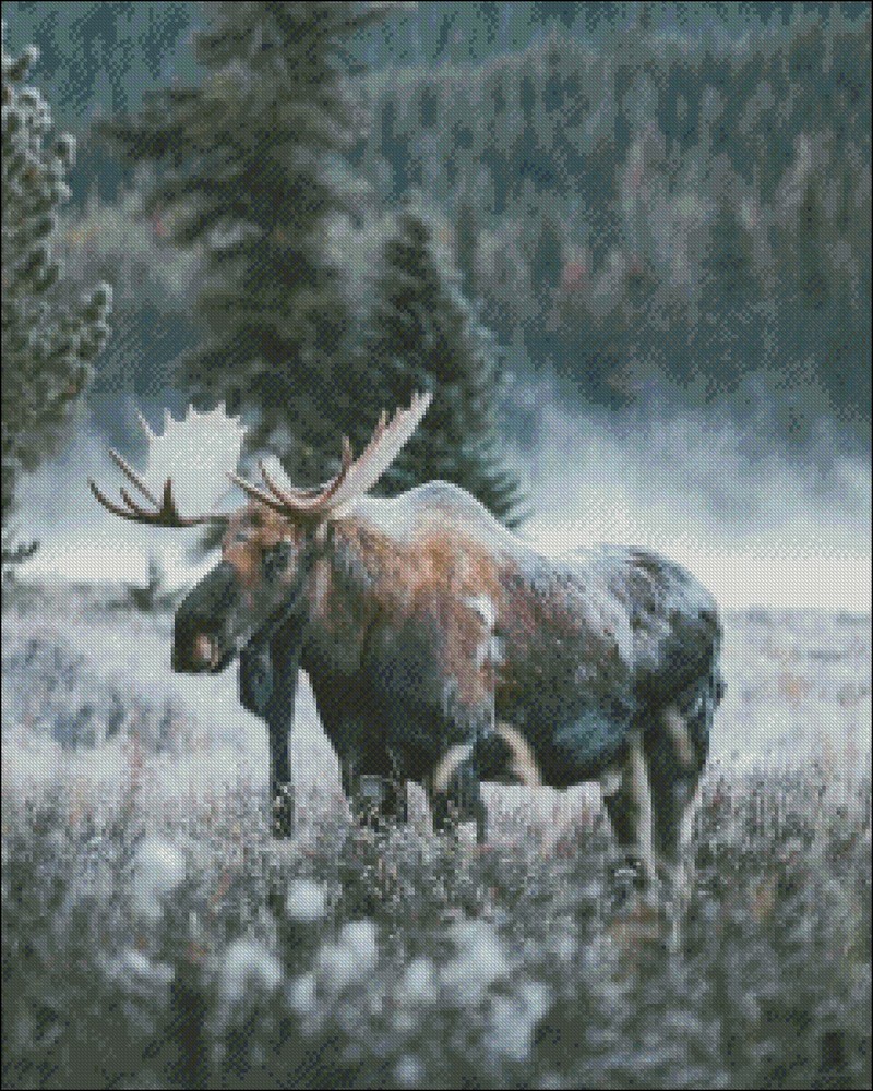 Moose Nature Cold - Chart Counted Cross Stitch Patterns Needlework DIY DMC