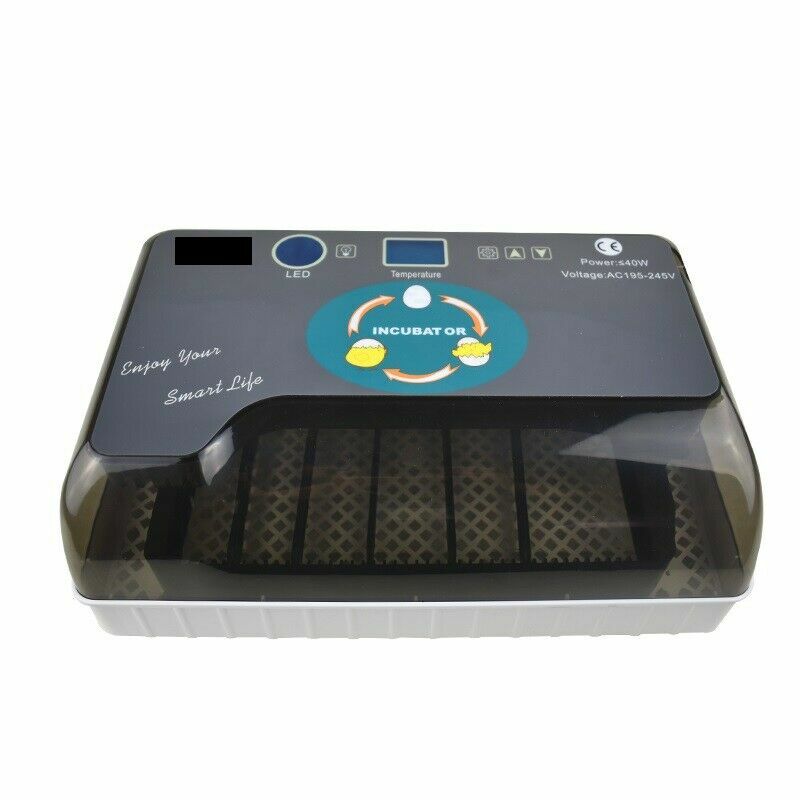 Incubator Automatic Digital Hatching 12 Eggs Mini Machine For Quail Chick Bird