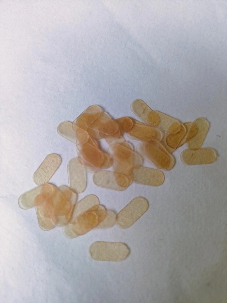 50pcs Viola Violin Bridge E string Sheepskin Protective Protection Pad