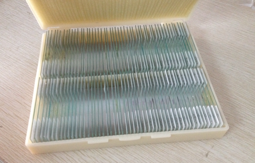 100pc Professional Glass Slice Prepared Microscope Slides Educational Specimen