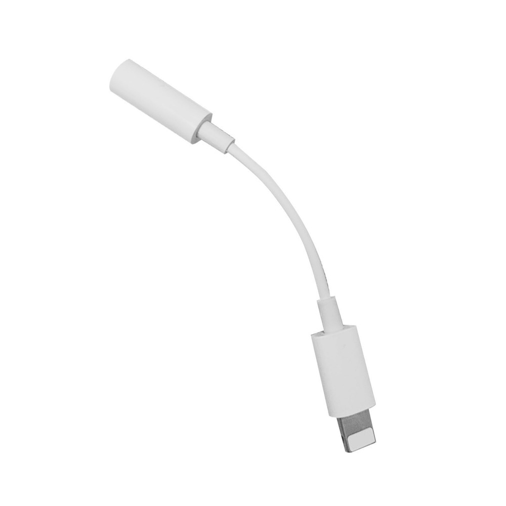 ⁺Voice Changer Adapter Accessory Type 2