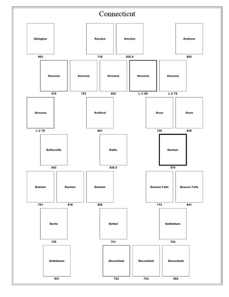 Connecticut Precancel Town & Type 24 Pages in Sheet Protectors