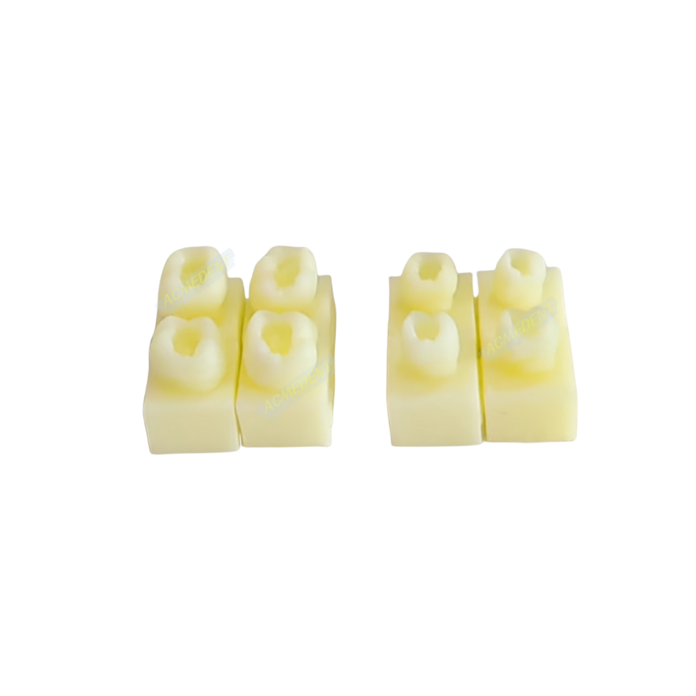 Dental Caries Decay Teeth Model Tooth Simulate Class Ⅱ Resin Restore Template