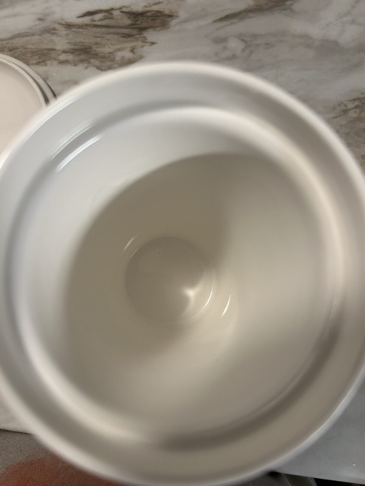 Adagio Teas Porcelain Summer Infuser
