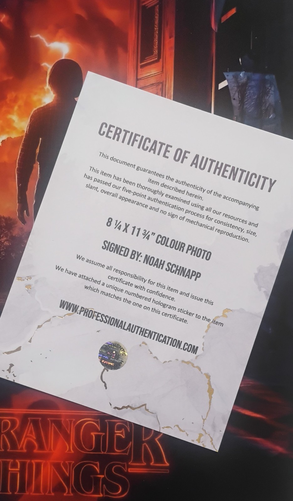 Noah Schnapp Hand Signed Autograph Photo COA Stranger Things