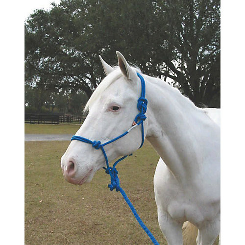 Hamilton Knotted Rope Halter/Lead