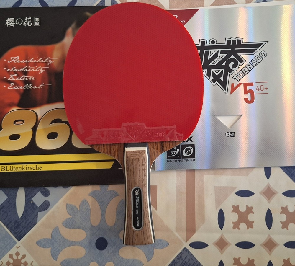 Professional Ping Pong Racket New
