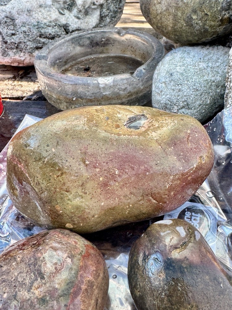 jasper rough lbs Polychrome 7 Lbs