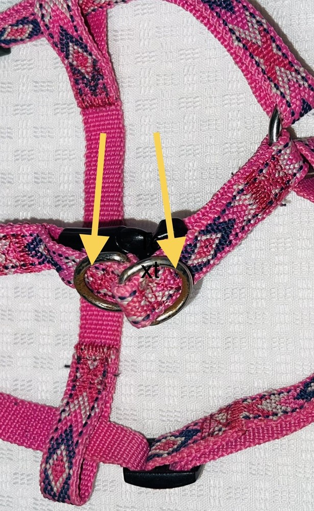 Dog Leash with Matching Harness Pink 55”