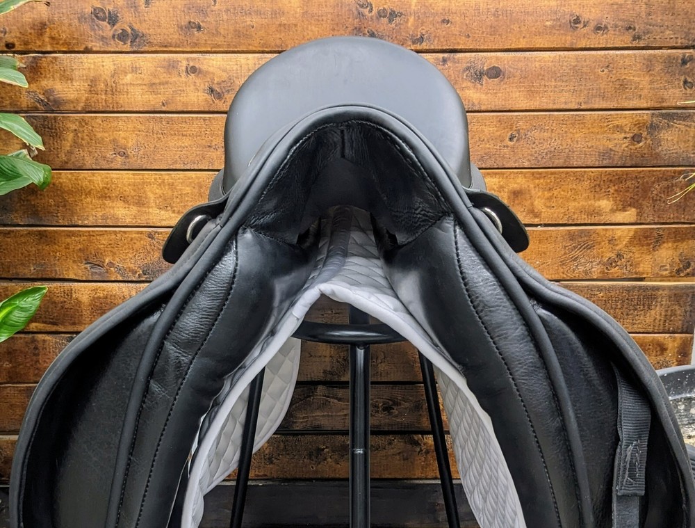 18" Trilogy Amadeo Elite (2022) *Wool Flocked*