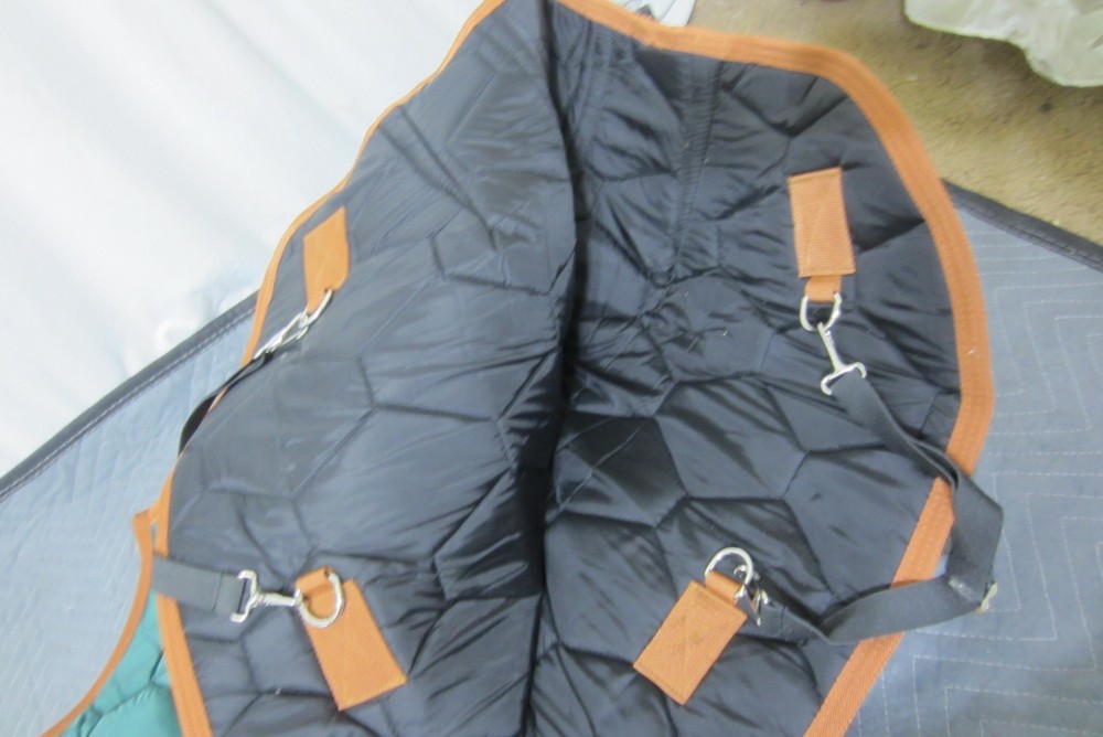 Adjustable Foal Mini Horse Winter Blanket Green Medium