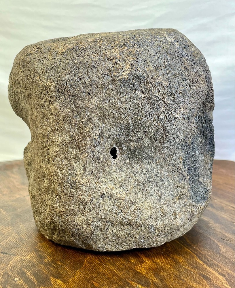 Authentic Fossilized Whale Vertebrae Bone - Unique Textured Display Piece