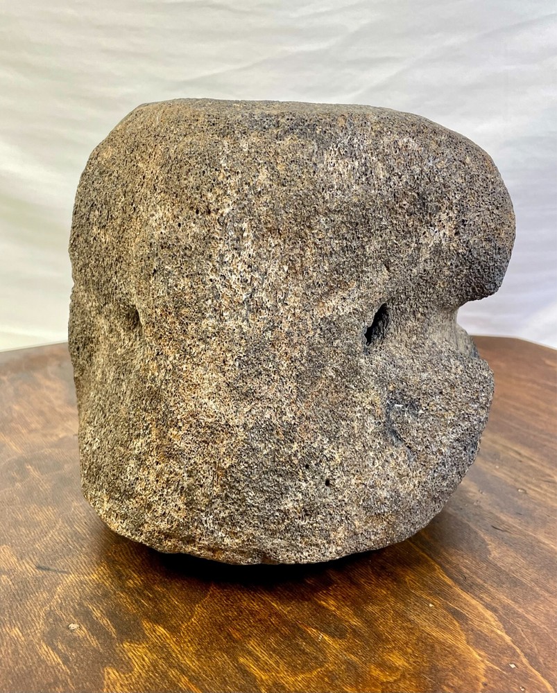 Authentic Fossilized Whale Vertebrae Bone - Unique Textured Display Piece