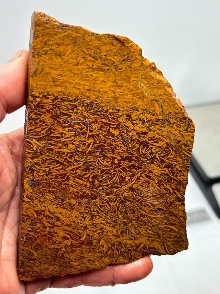 Script Stone Jasper Slab Cabbing Lapidary Collecting Combo Ship Avail