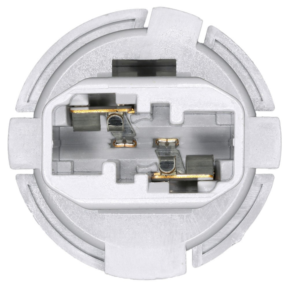Back Up Light Socket-Tail Light Socket WVE 1P3989