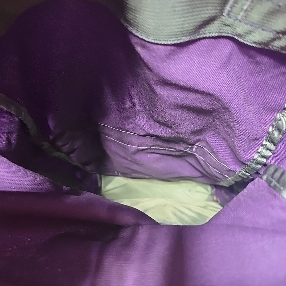 Backpack by Evolved Motion Purple Bag