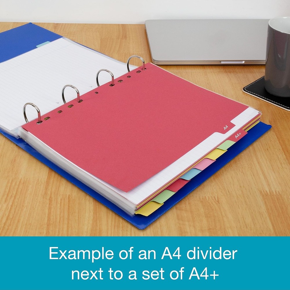 Elba A4 10 Part Extra Wide Card Divider