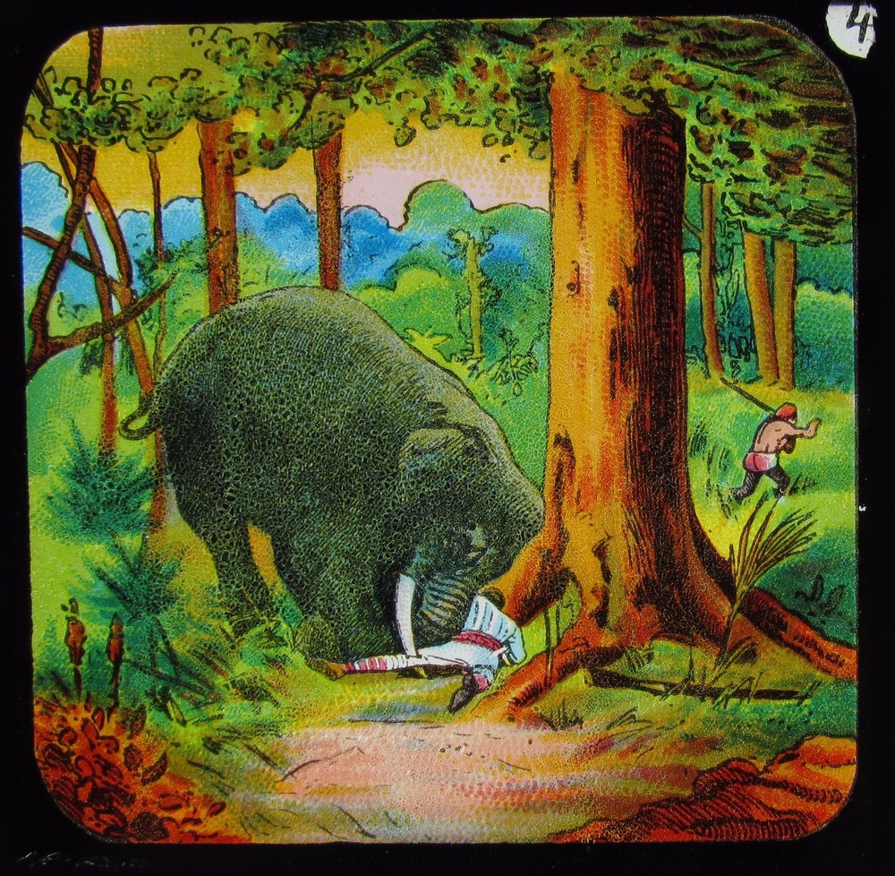 Glass Magic Lantern Slide ELEPHANT ATTACKING A MAN C1890 DRAWING