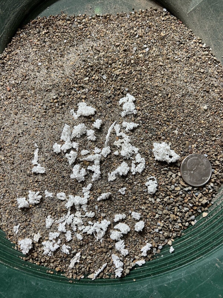 5+ Grams Minimum Crystalline Silver Panning / Pay Dirt