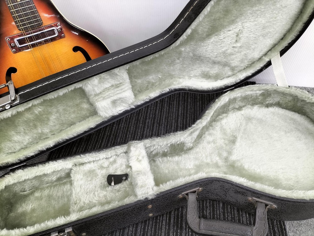 ZEN-ON SUWANEENA Electric Mandolin