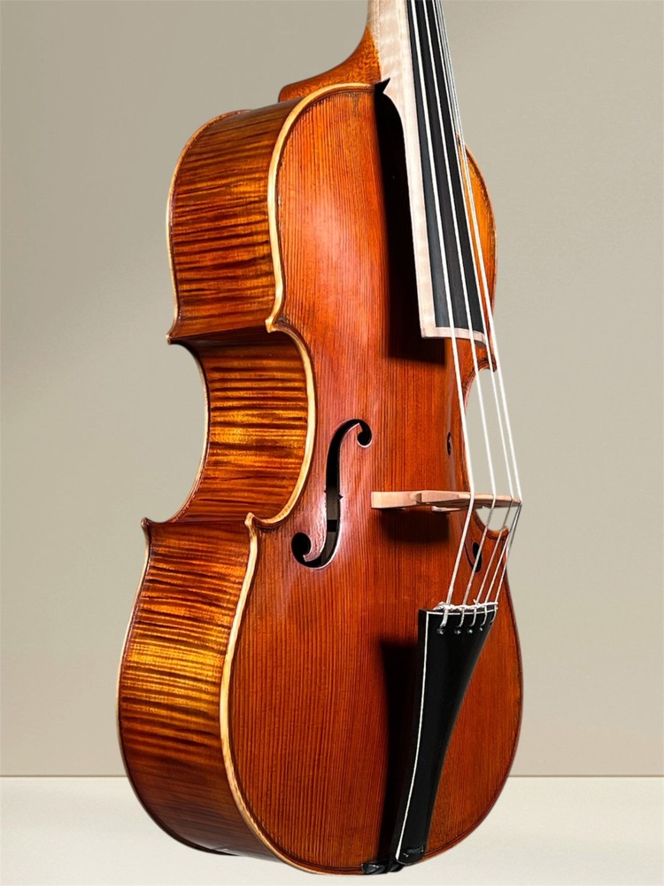 Simon Joseph 5 string cello (cello) da Spalla, to hang