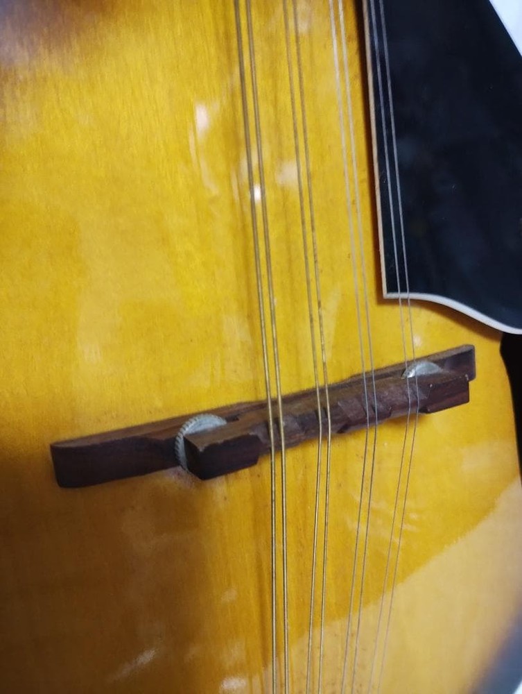 Mavis flat mandolin type A