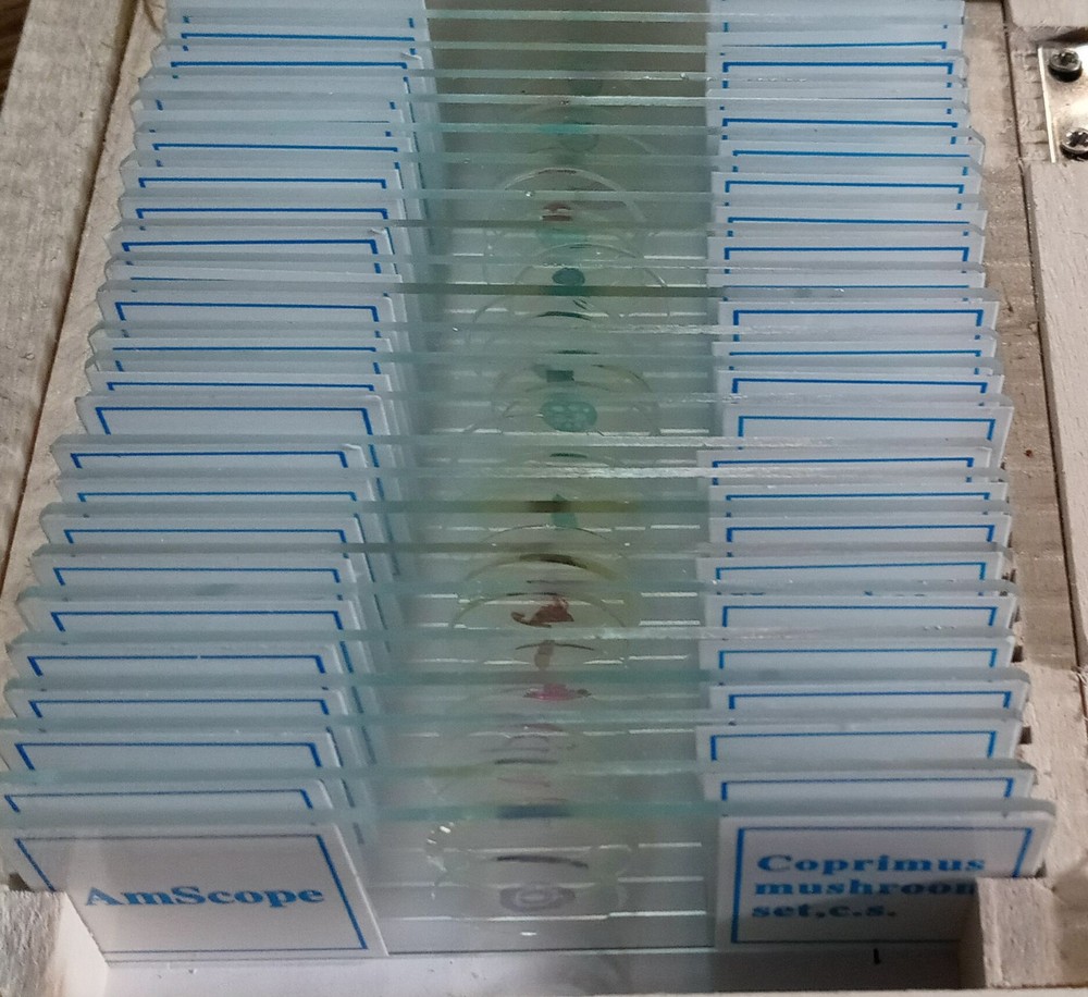 Amscope Prepared Slides 25 Count Science Microscope