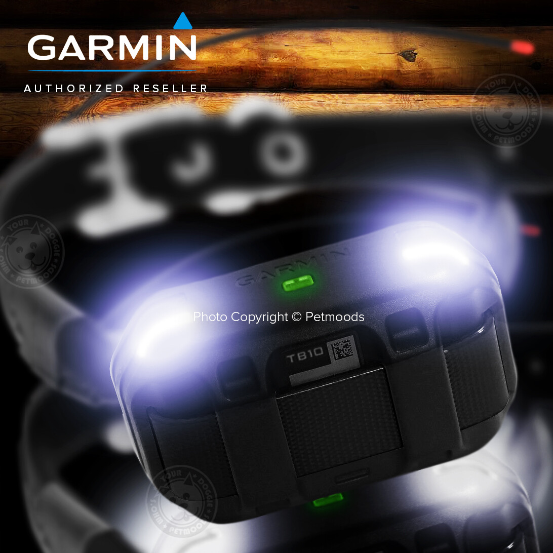 Garmin PRO Trashbreaker Remote Dog Trainer 4 Mile Collar Bundle 010-01204-00