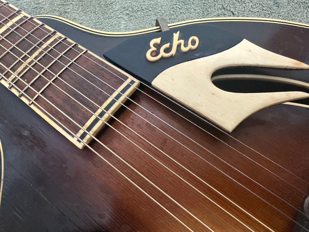 Rare 1959 Echo Mandolin designed by Franz Schwarzer
