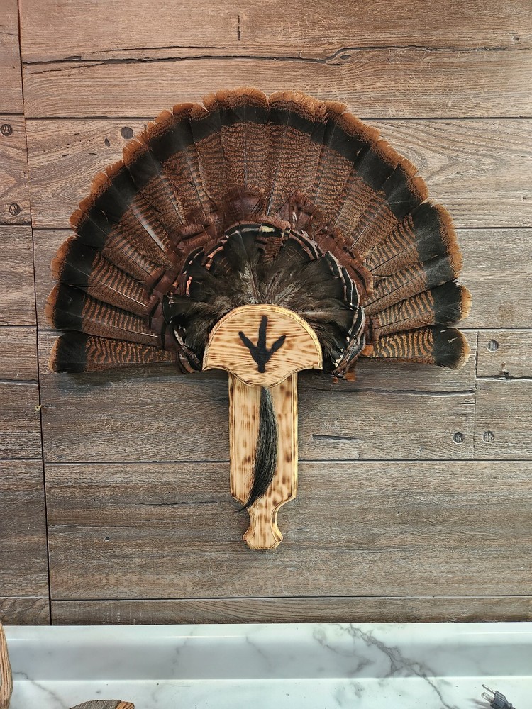 Turkey Fan Box Call Mounting Plaque