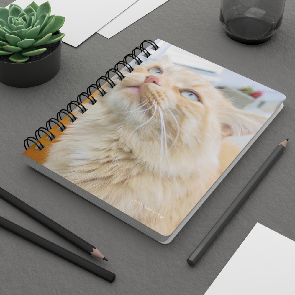 Orange Tabby Cat Spiral Bound Journal