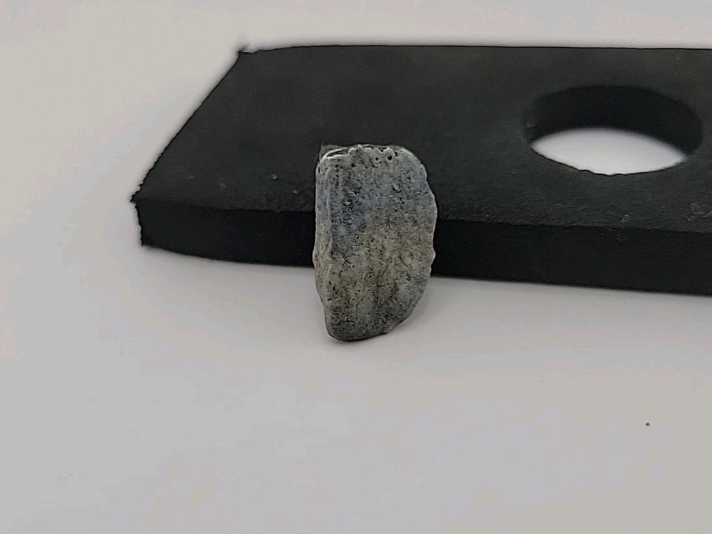 Fossil Dinosaur Tooth Permineralized Unknown Species