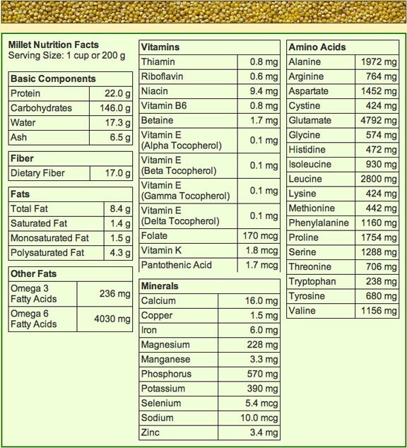 Millet Spray 5 lb for Parrots birds Nutrient packed plump & fresh spray NO STEMS