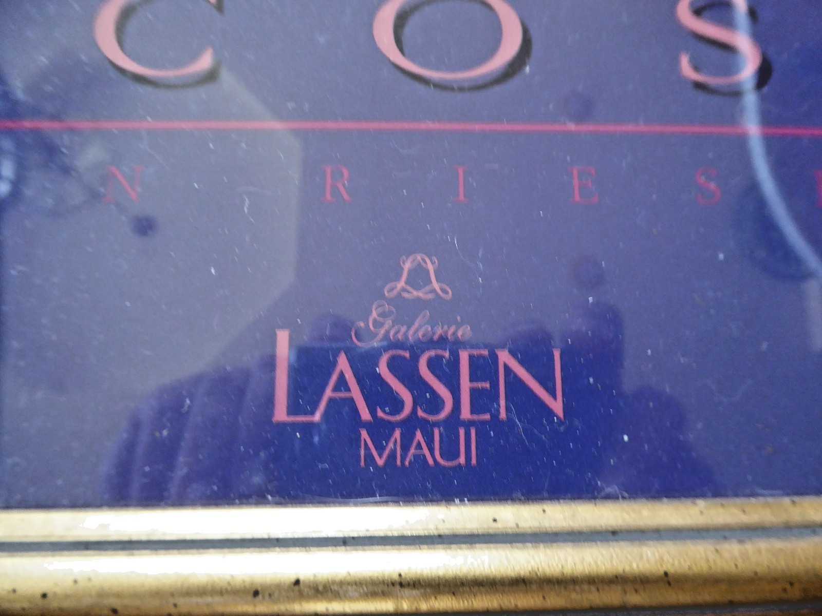 Vintage Framed Christian Riese Lassen "The Cosmos" Maui Hawaii Art Poster