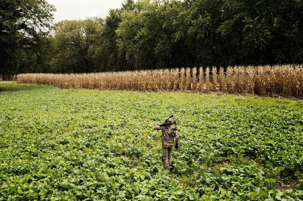 Evolved Harvest Mega Plot Series Wild Game Food Plot Seed, High Protein