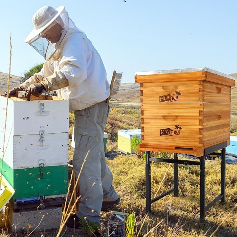 Adjustable Metal Bee Hive Stand Height Width Stable Beehive Frame Durable Tool