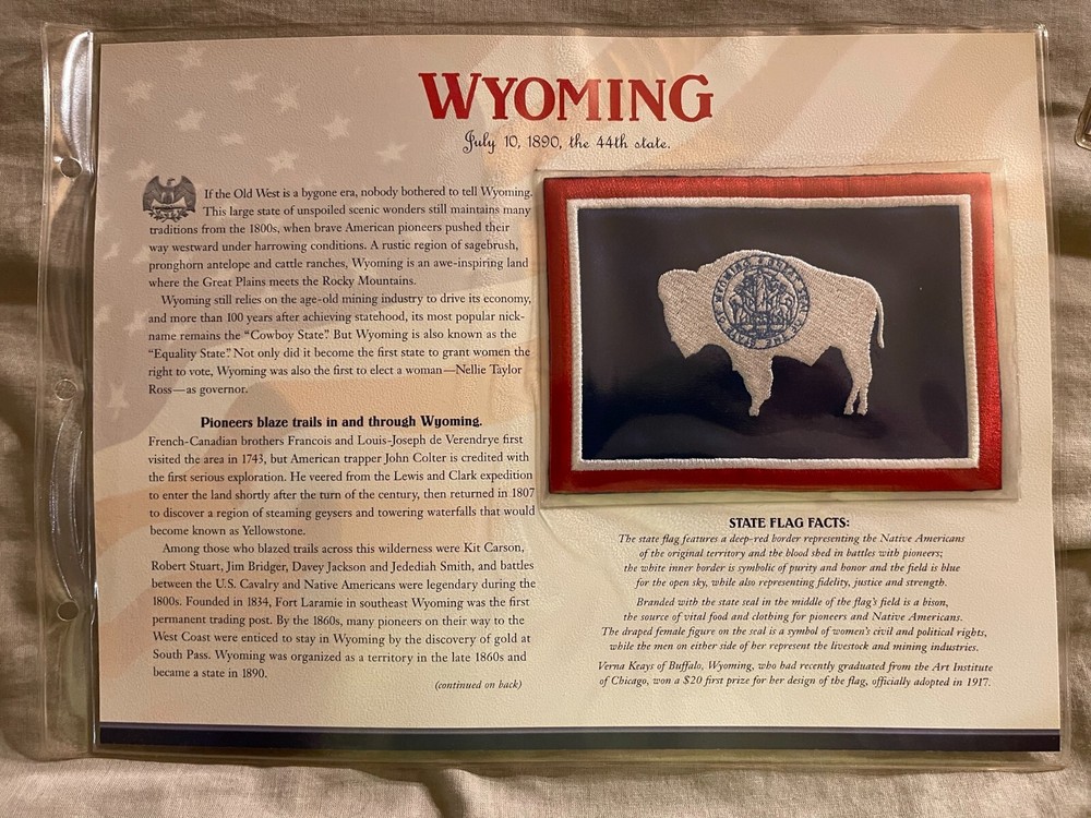 WILLABEE & WARD FLAG PATCH PANE **** WYOMING