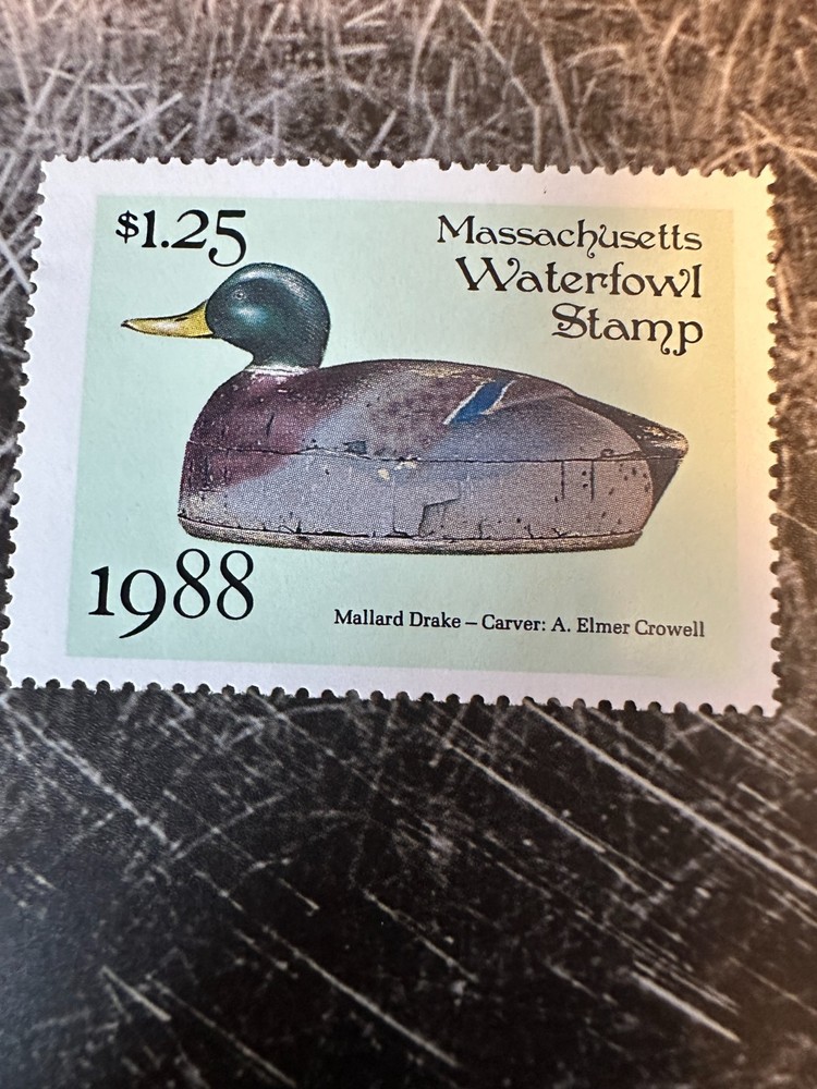 1988 Massachusetts State Duck Stamp,