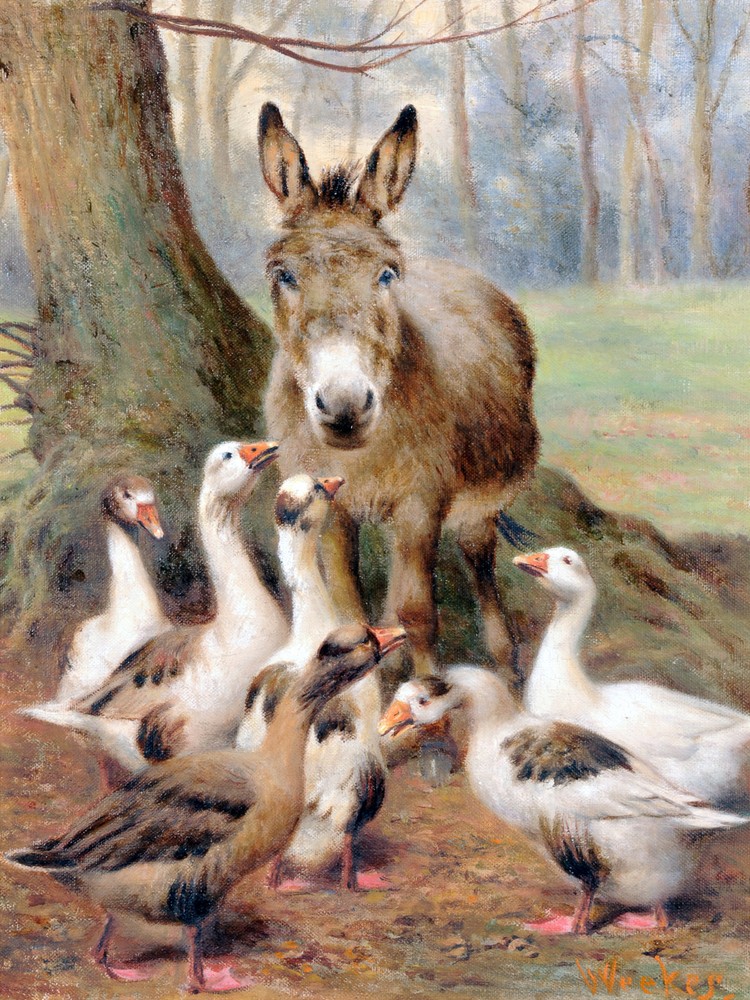 Geese and a donkey Secrets Tile Mural Kitchen Bathroom Backsplash Marble Ceramic