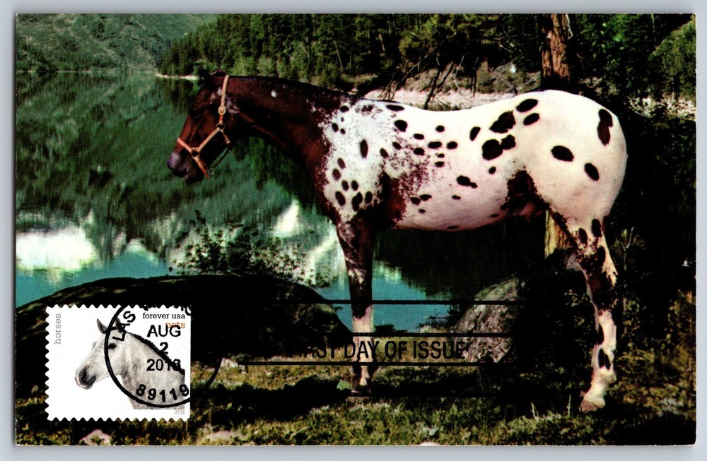 #5123 Pets Horses FDC Maxi Card